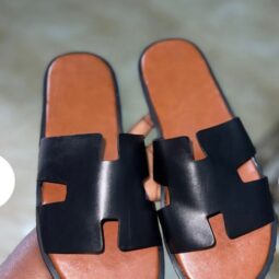 BROWN & BLACK MALE PALM